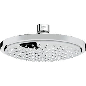 Euphoria Cosmopolitan Shower Rose with Grohe Ecojoy