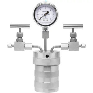 Hydrothermal reactor with Gauge